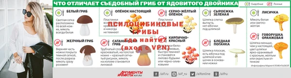 apvp Белокуриха