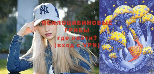 apvp Белокуриха