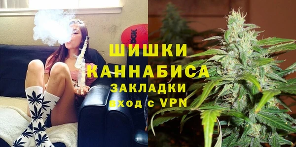 PSILOCYBIN Беломорск