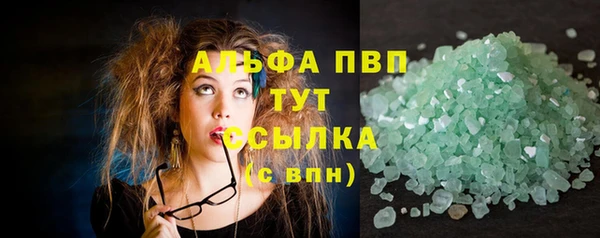 PSILOCYBIN Беломорск